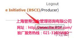 BSCI报告